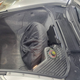 Image for article titled At $6,200, Is This 2000 Boxster A Cheap Way Into Club Porsche?